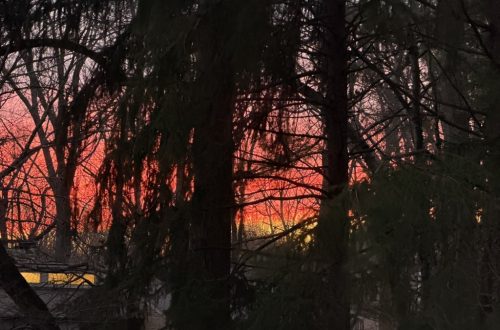 A pre-dawn glimpse of the rising winter sun, in the forest over rooftops, painting the early sky hot peach and lavender.