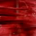 Abstract horizontal streaks of ruby, burgundy, oxblood swirl across a glass panel. Macro action shot of a carwash cleaning curtain flowing across a car window.