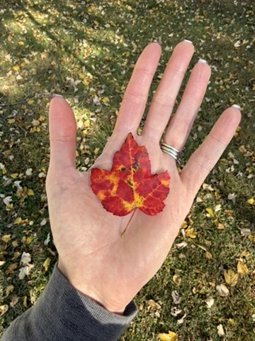 A pale left hand holds a flame and amber hued fallen maple leaf.