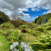 Botanical garden and blue sky