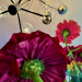 Photo: "Pushing Up Daisies," by Diana Ludwick (c) 2026